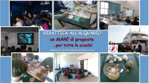 Didattica acquario