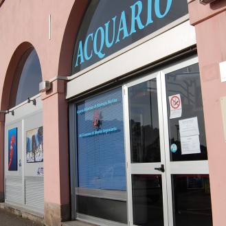 acquario